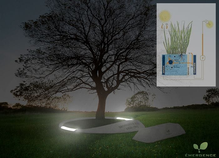 emergencia funerales de diseño entierro ecologico arbol degradable enzo pascual pierre riviere design for death
