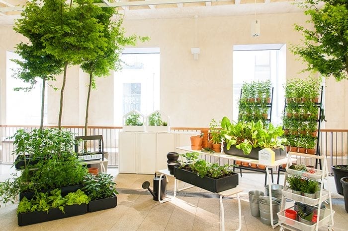 jardinería ikea