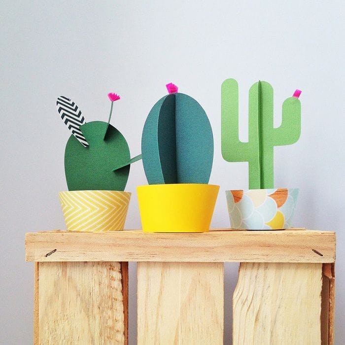 cactus-de-papel