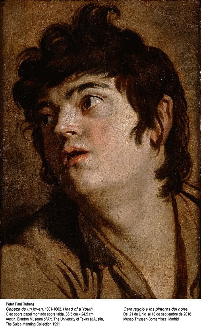 rubens cabeza de un joven