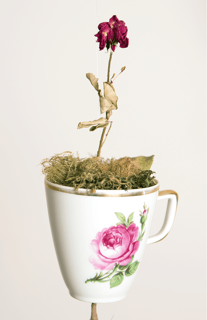 obra un nido en la garganta carlos villoslada