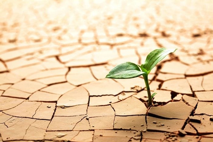 kaizen mejora continua