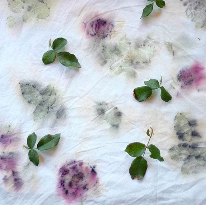 flores y hojas secas sobre textil