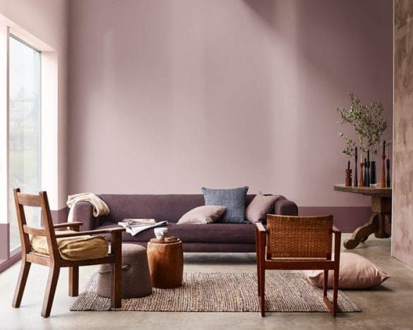 sala, sofá morado, sillas marrones, cojines, planta