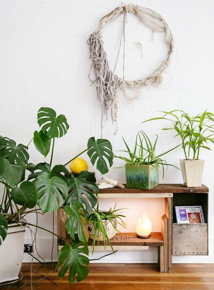 rincon boho con plantas y corona macrame