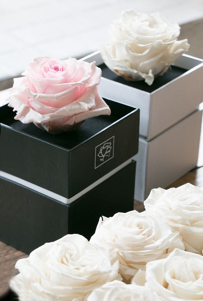 cajas de rosas conservadas