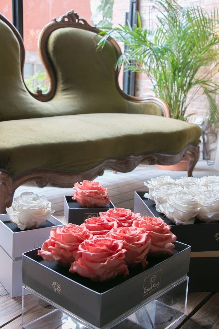 cajas de rosas preservadas cuadradas