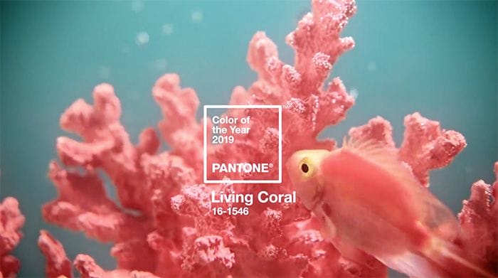 Pantone ya ha anunciado el color del año 2019: Living Coral