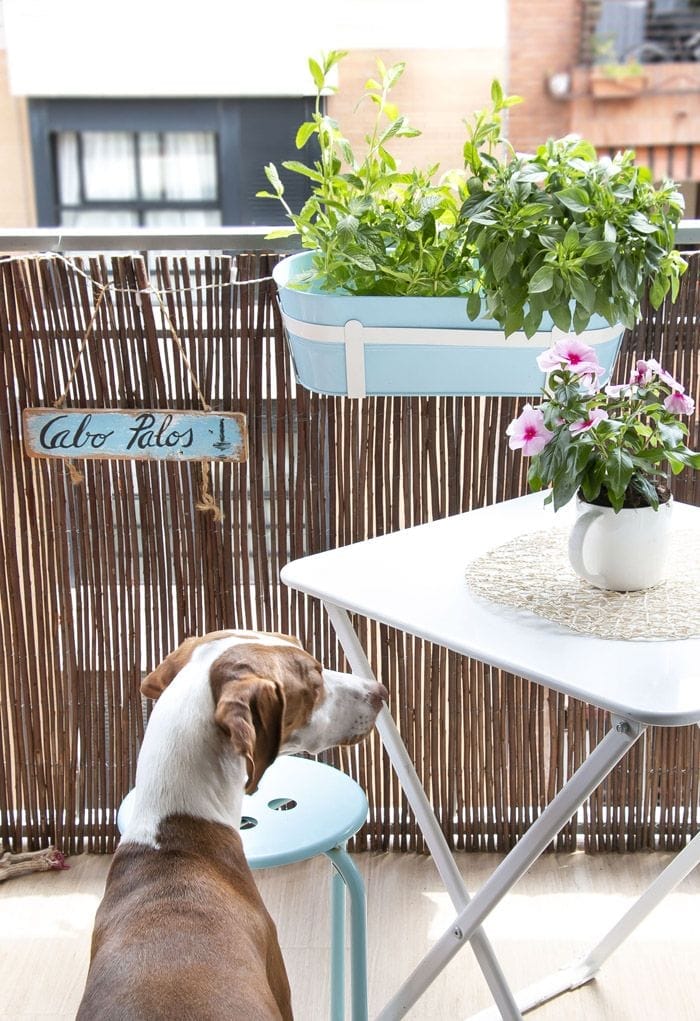 En casa de Oh Mami Blue