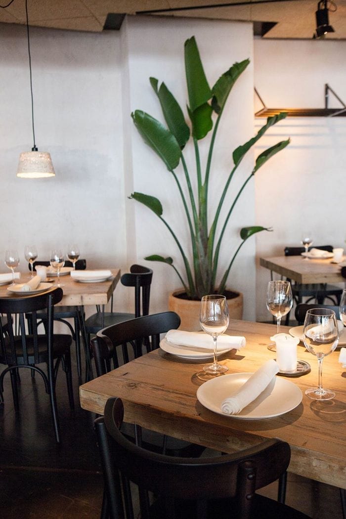 planta de palma en restaurante fismuler barcelona