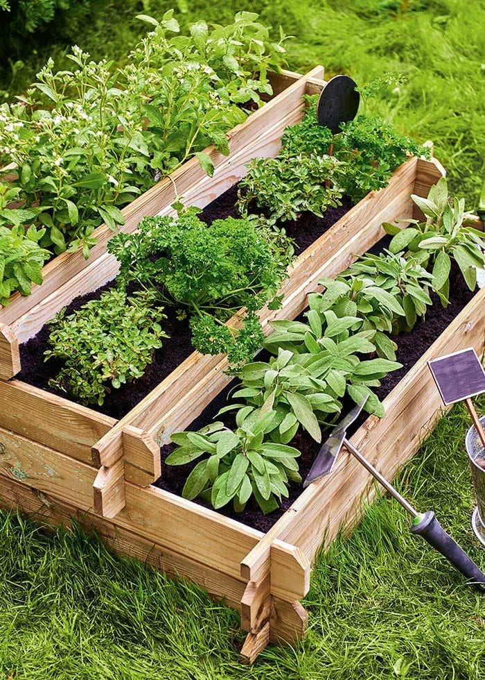 huerto urbano y jardin con verduras ecologicas