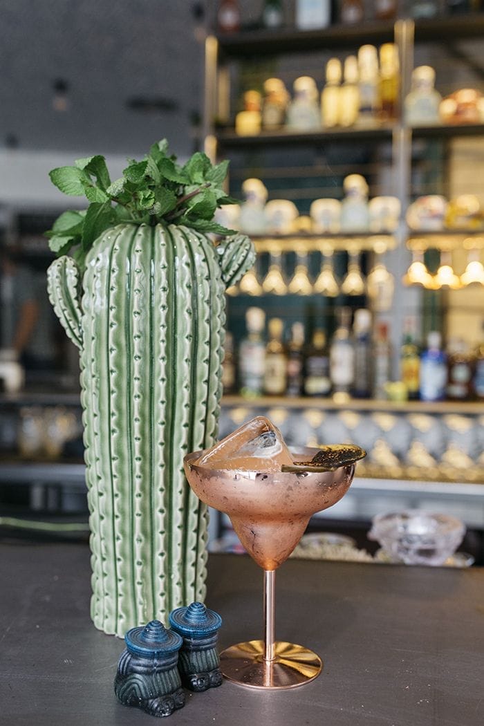 coctel con cactus ceramica