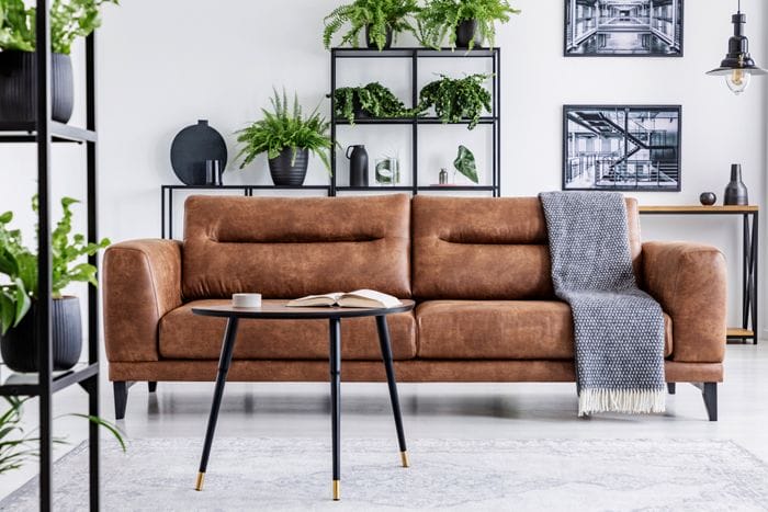 sofa de cuero marron con estanteria plantas