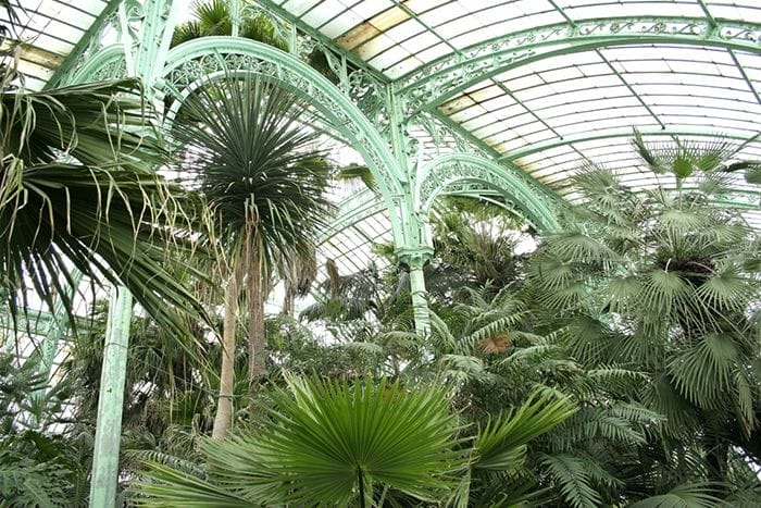 jardines botanicos victor horta