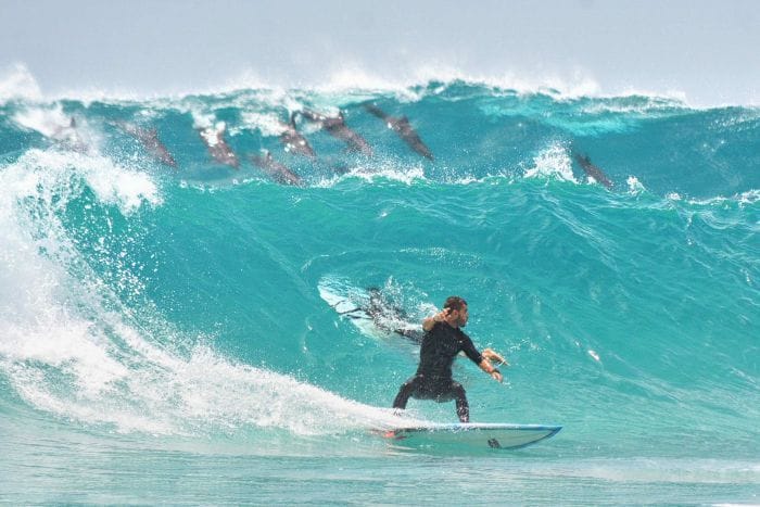 surfista en ola australia