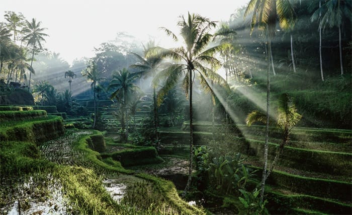 Mi experiencia en las Becas Taller Argal con Moove Magazine