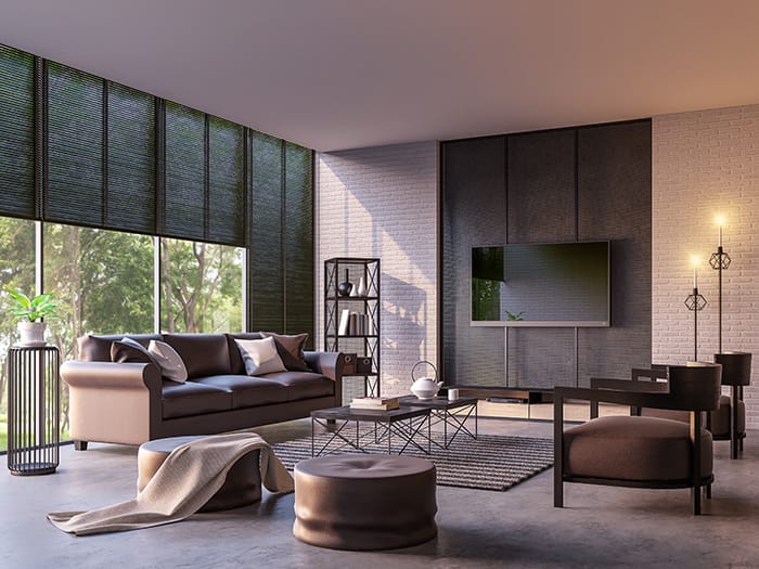 estores oscuros salon