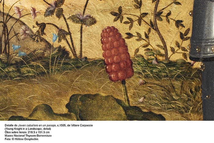 vegetacion detalle cuadro