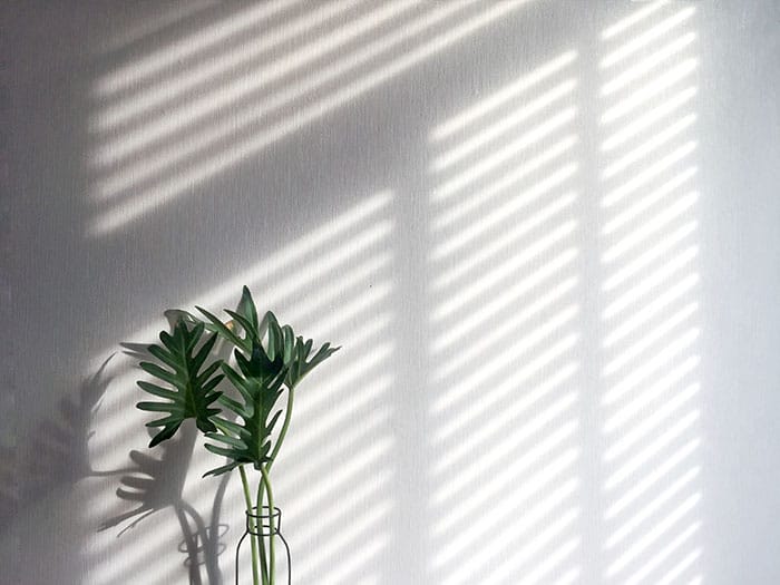 como son persianas venecianas lamas