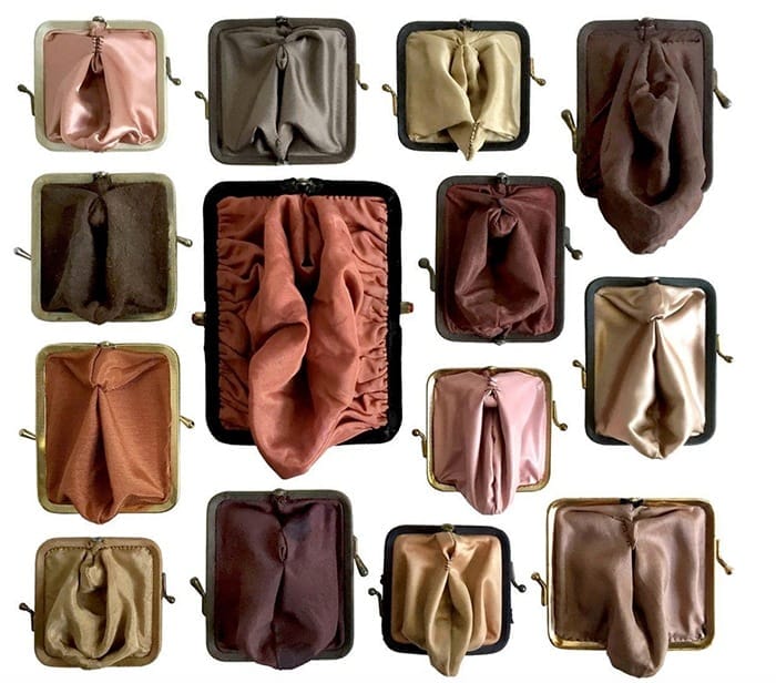 arte vagina monederos