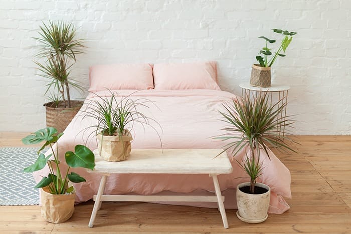 sabanas sostenibles rosas