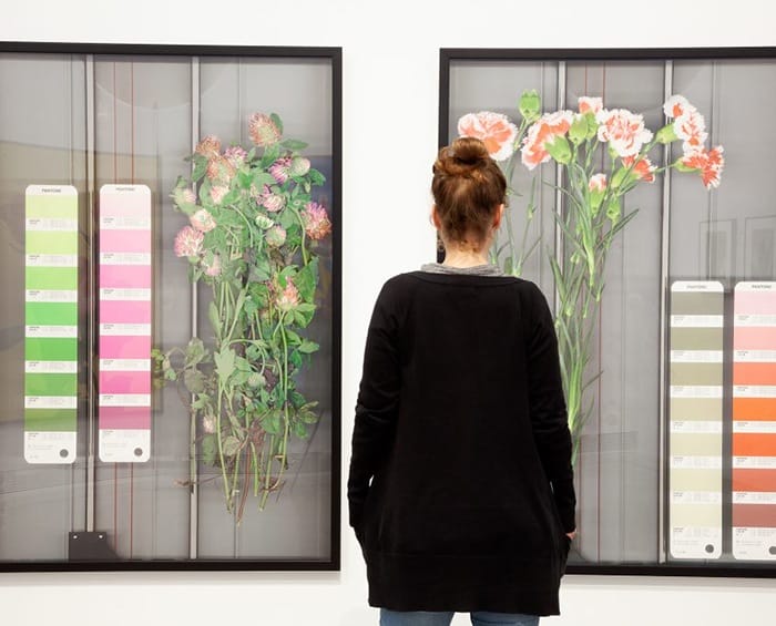 Fundación Per Amor a l’Art flores fotografia