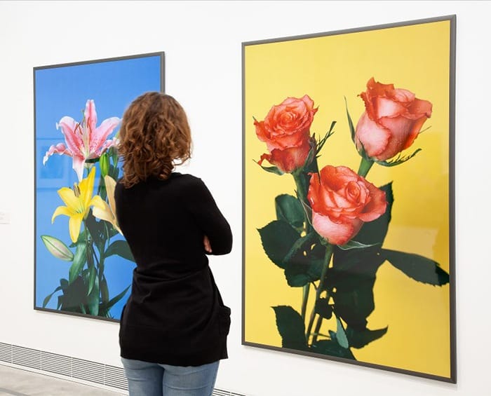 botanicas imagenes foto flores Fundación Per Amor a l’Art