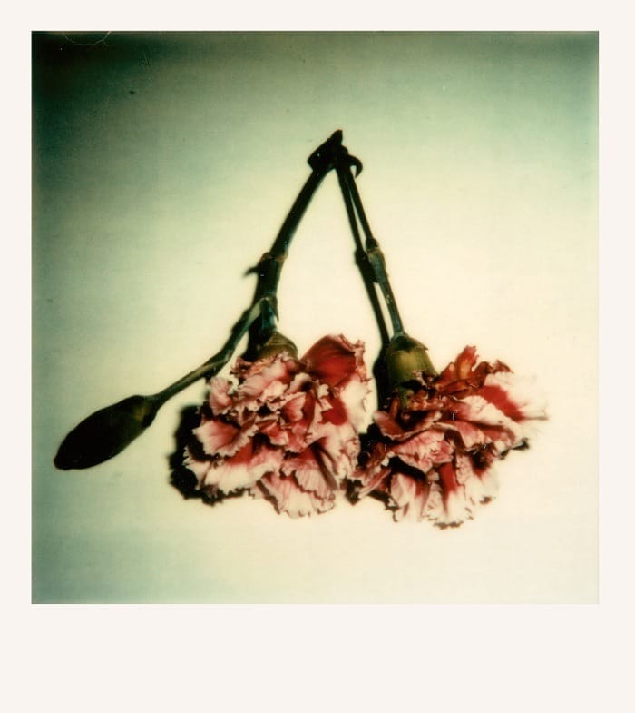 Polaroid a color