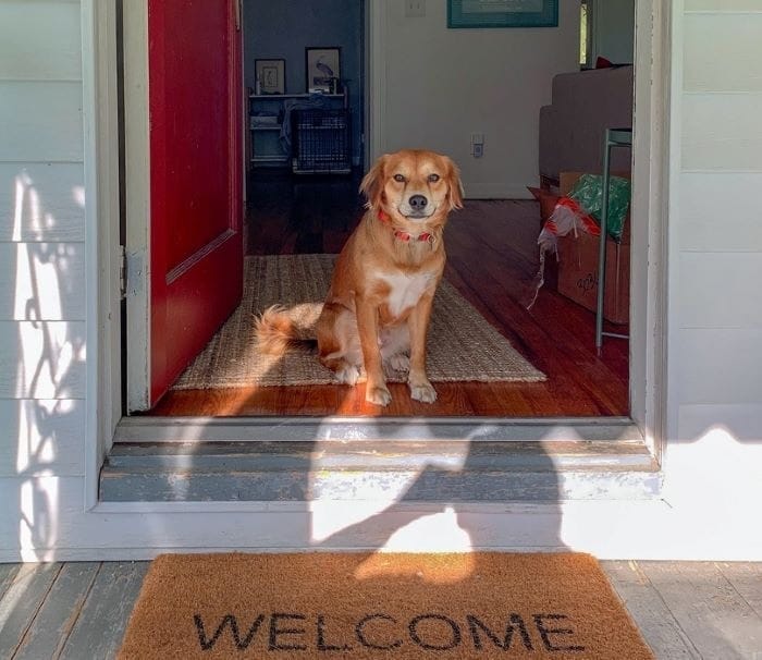 Cocooning, la tendencia en alza para disfrutar de tu hogar