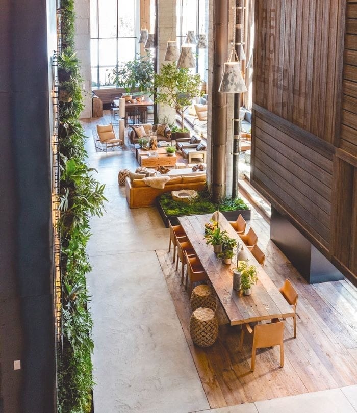 Biofilia en tu oficina