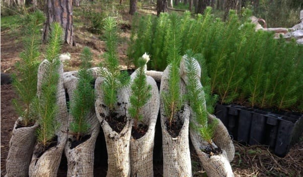 Sostenibilidad con Loverty