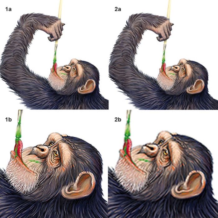 Resolución de una imagen para imprenta