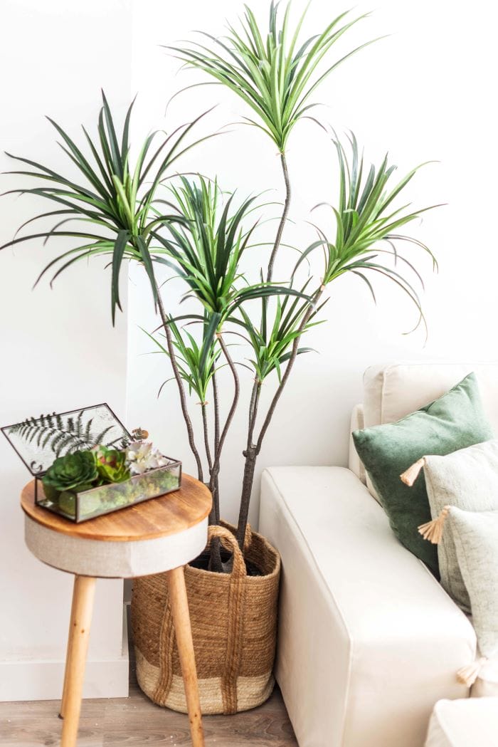 Detalle de un espacio con color verde, colorterapia