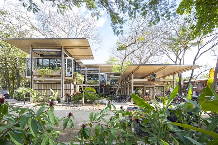 Ganador concurso arquitectónico ArchDaily 2021 exterior proyecto vegetación