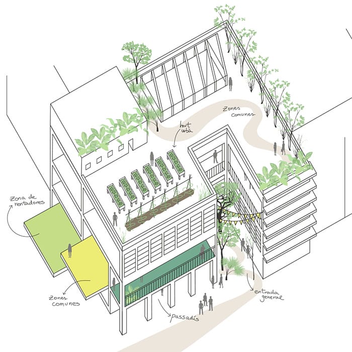 conclusiones coliving