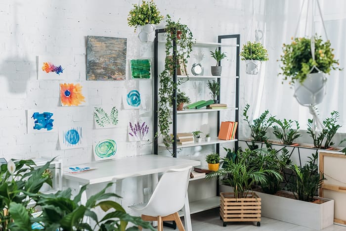 Libros: Urban Botanics An Indoor Plant Guide for Modern Gardeners