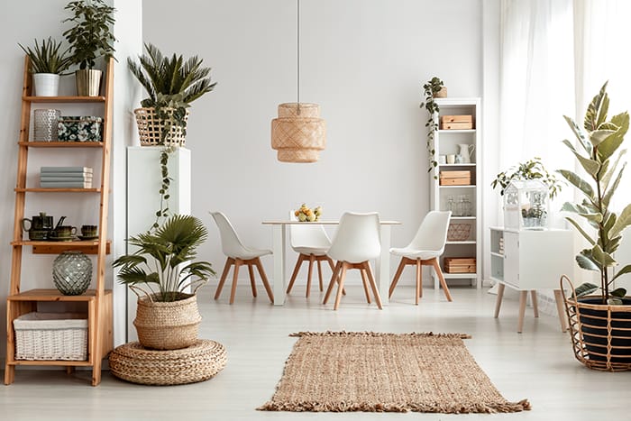 sala de comedor con decoración de origen natural y con muchas plantas