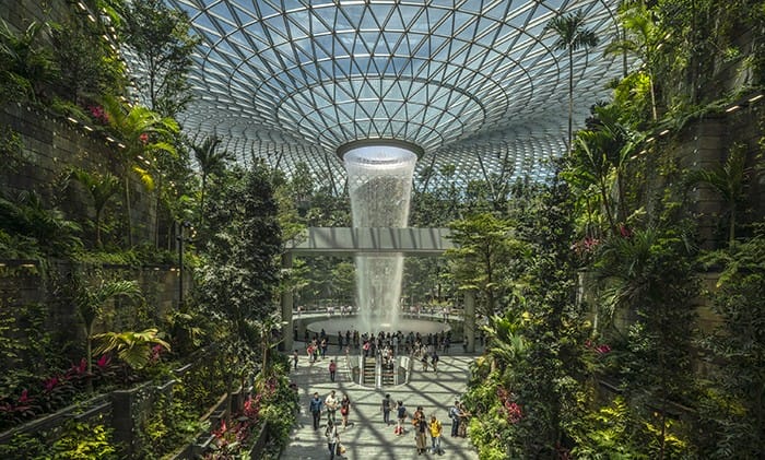 diseño biofílico Aeropuerto de Singapur proyecto The Rain Vortex vista completa