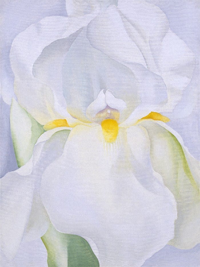 Georgia O' Keeffe, madre del Modernismo estadounidense