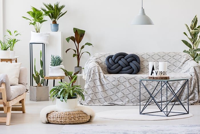 sala de estar con sofá con sobrecama y decoración plantas