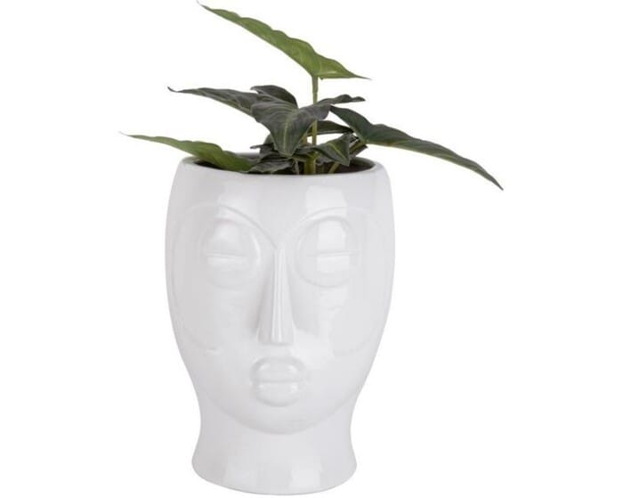 Macetero Mask Westwing