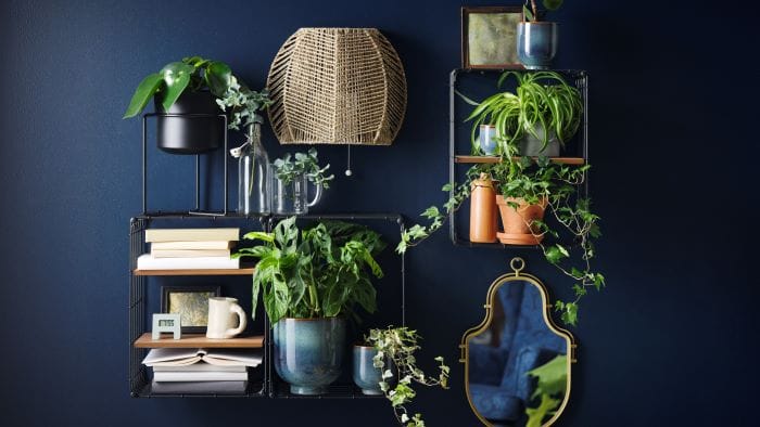 Macetero-de-IKEA-color-azul