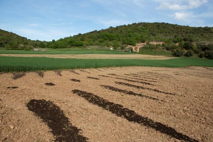 Paisaje-y-obra-Nutrir-la-estima