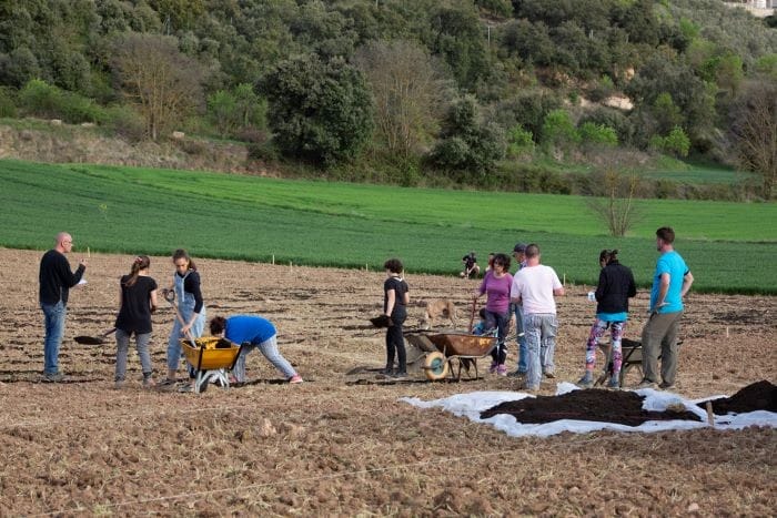 Trabajo Nutrir la estima