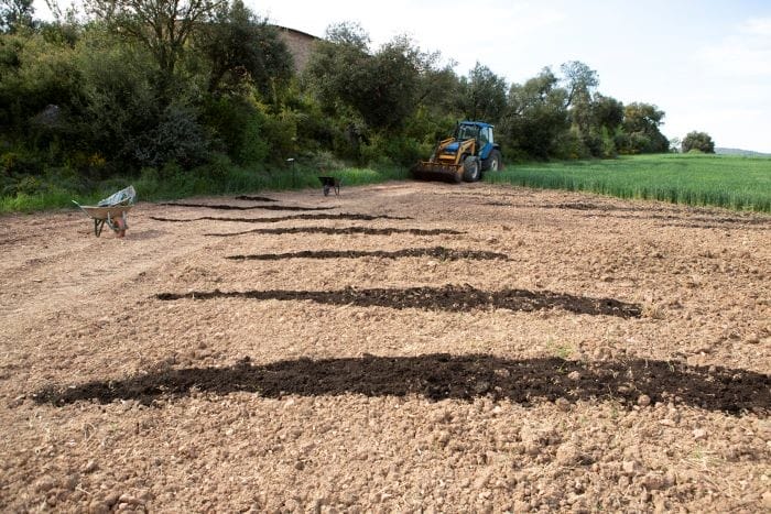 Tractor en la obra Nutrir la estima