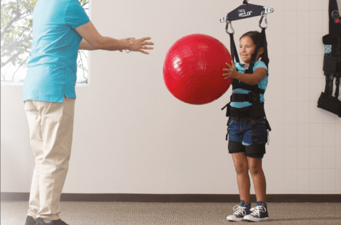 Vector Bioness productos Rebiotex para Rehabilitación 