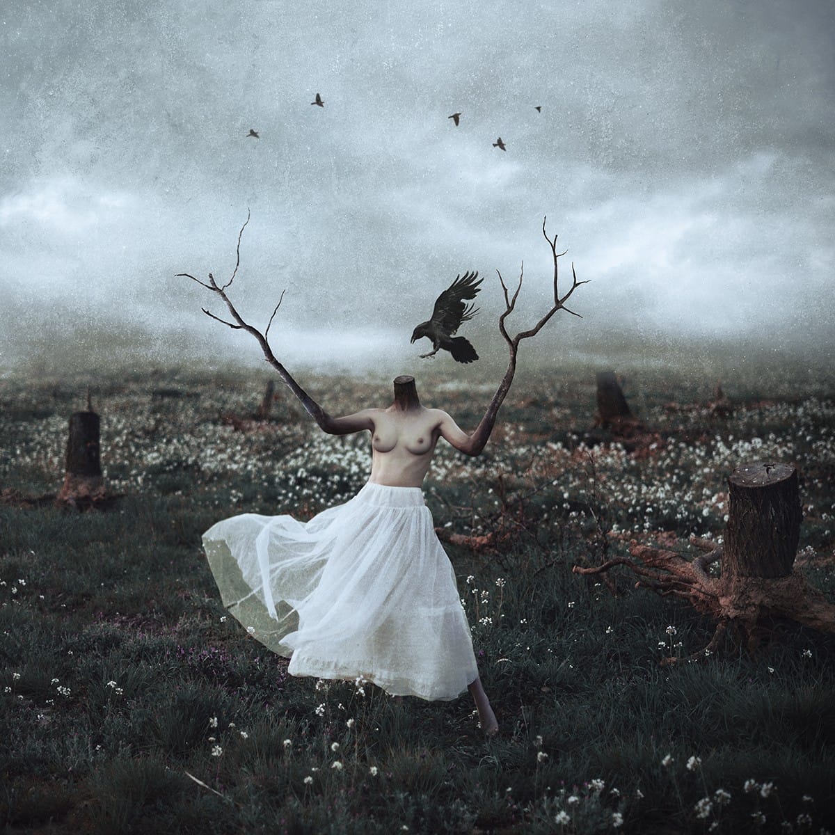 Gente que ama lo que hace: Frank Diamond, fotógrafo artístico