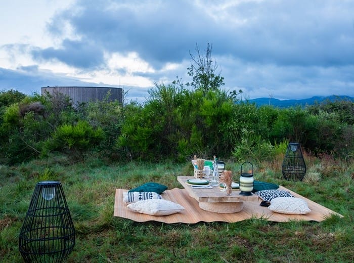 picnic cojines lamparas natural