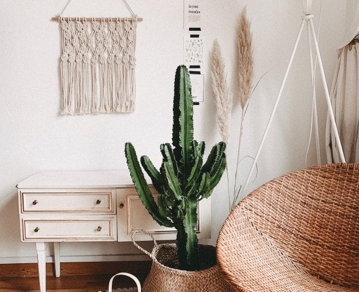 elementos decorativos casa