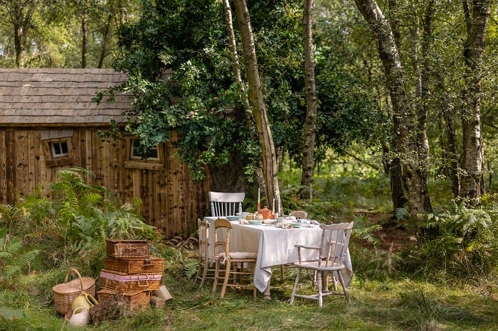 Picnic en el bosque de la casa de winnie de pooh con Airbnb